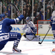 Illustration for article titled EA Sports Brings Womens Hockey Stars Into the Game—Without a League of Their Own